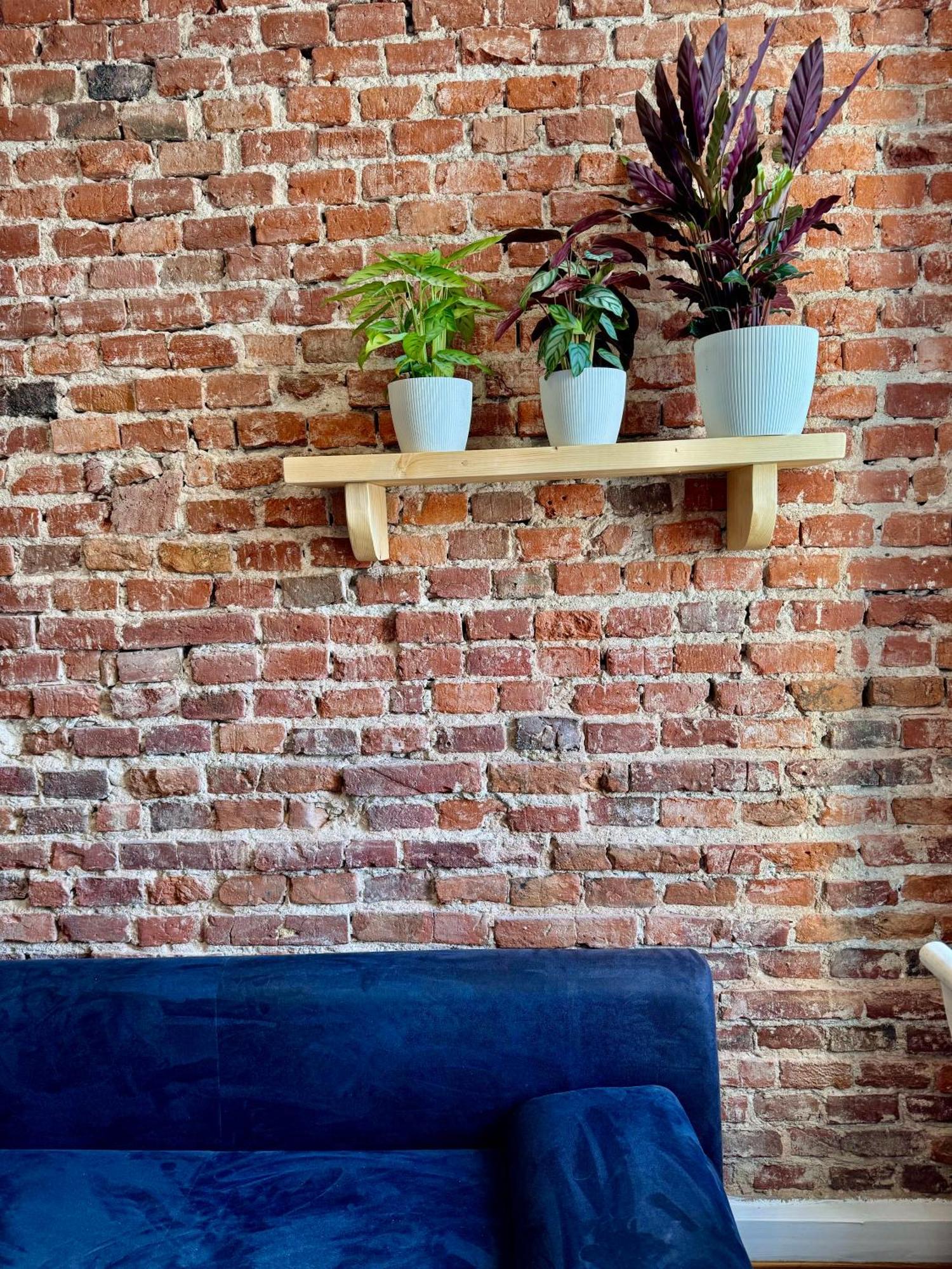 Bohemian Apartment In Center Of Kazimierz District Красков Екстериор снимка